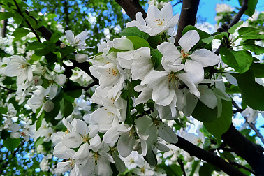 Карельская Одиссея