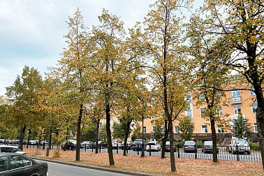 Осенние каникулы в Петрозаводске