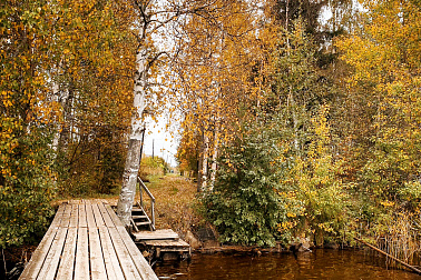 Осенние каникулы в Петрозаводске